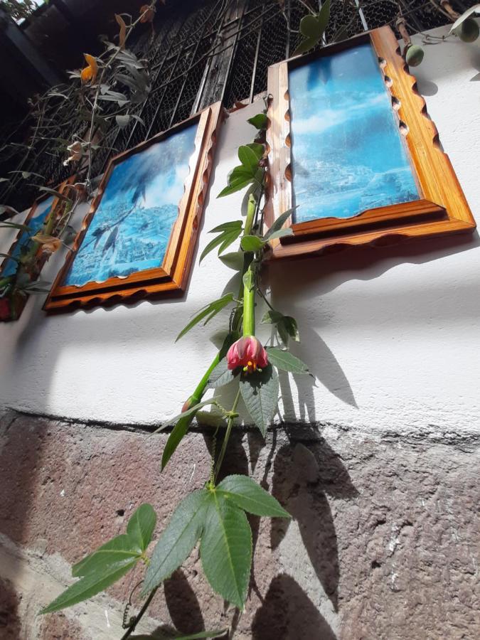 Pensión La Casa Laura *